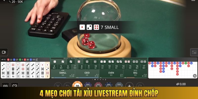 4 mẹo chơi tài xỉu livestream đỉnh chóp