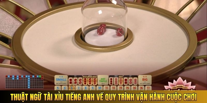 Thuật ngữ Tài Xỉu tiếng Anh về quy trình vận hành cuộc chơi